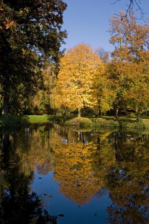 Manoir Du Plessix Meen Pluduno Kültér fotó